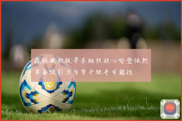 森林狼积极寻求组织核心哈登依然具备吸引力与华子联手可能性