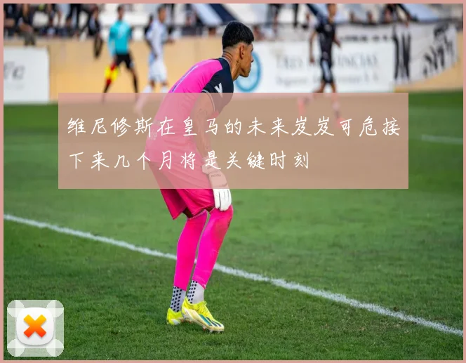 维尼修斯在皇马的未来岌岌可危接下来几个月将是关键时刻